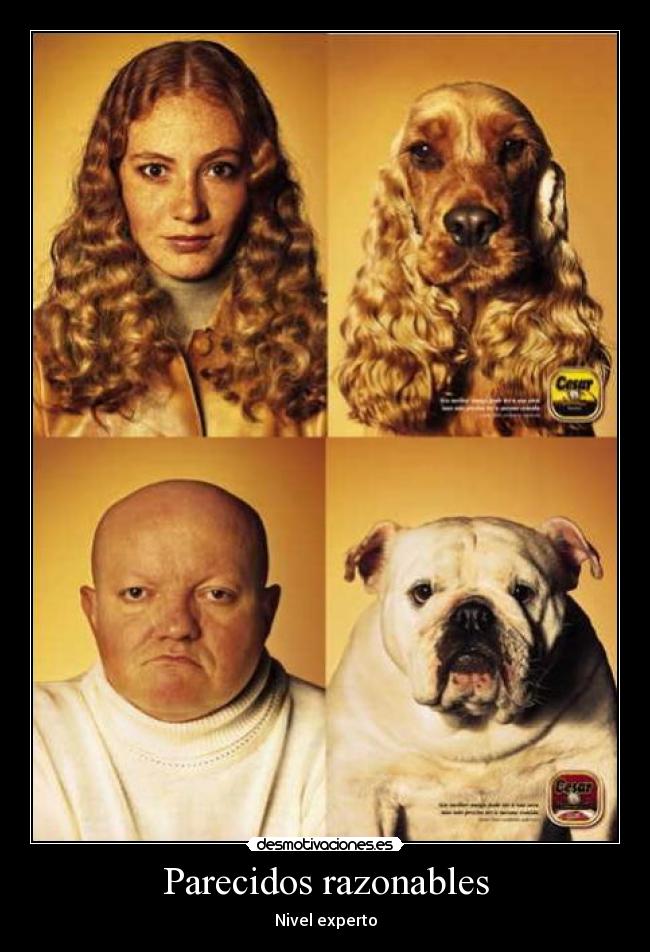 Parecidos razonables - Nivel experto