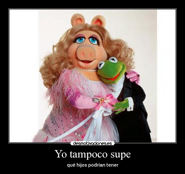 carteles rana gustavo cerdita hijos desmotivaciones