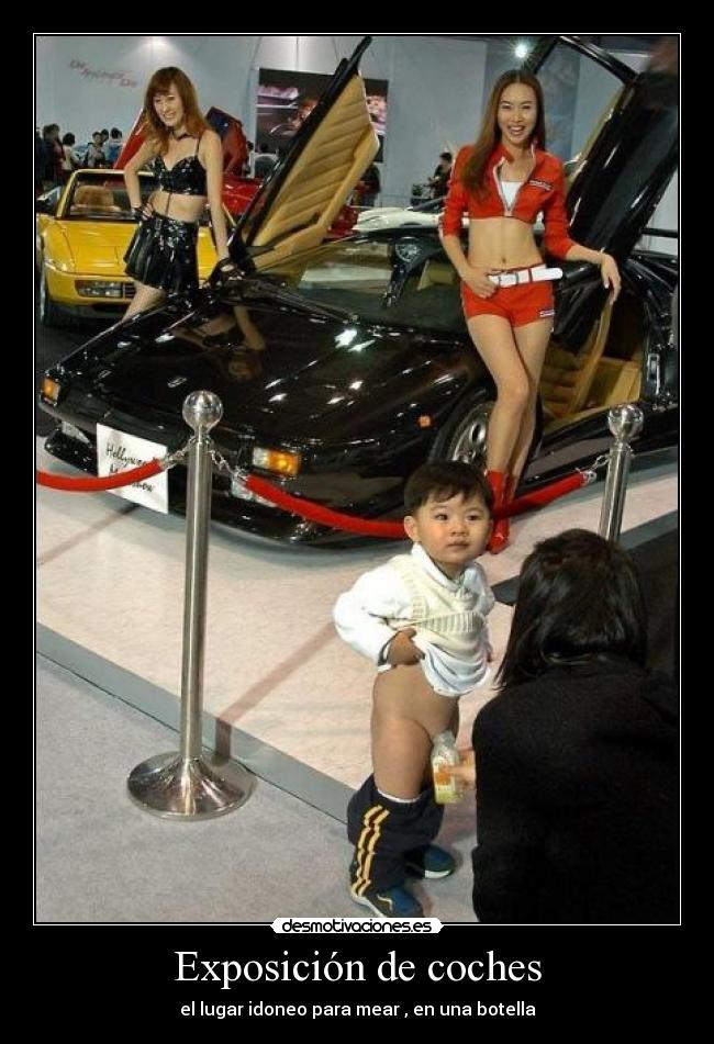 Exposición de coches - 