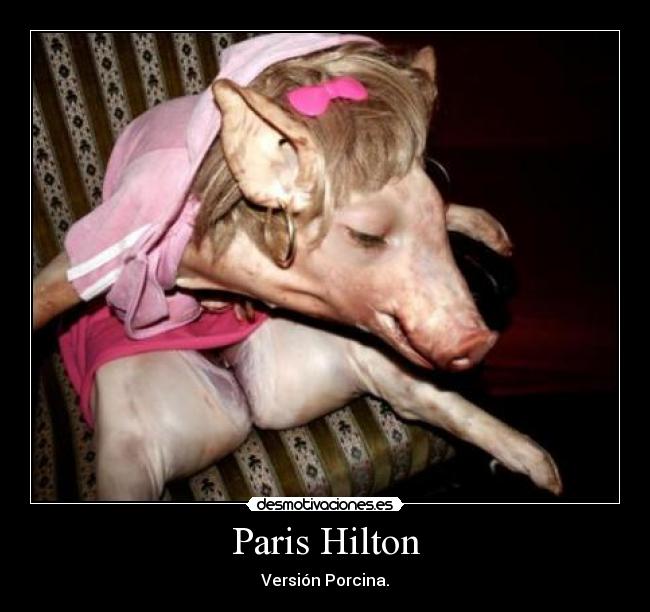 Paris Hilton - Versión Porcina.