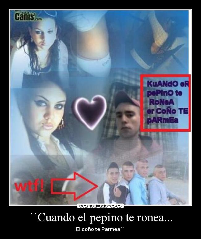 ``Cuando el pepino te ronea... - El coño te Parmea´´