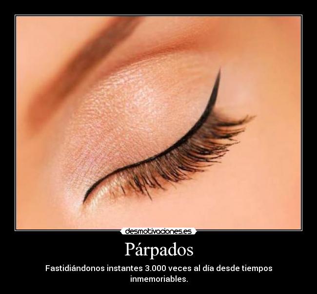 Párpados - Fastidiándonos instantes 3.000 veces al día desde tiempos inmemoriables.