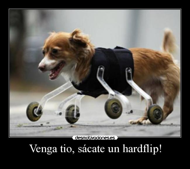 Venga tio, sácate un hardflip! -