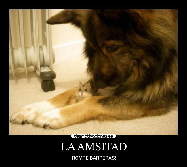 LA AMSITAD - ROMPE BARRERAS!