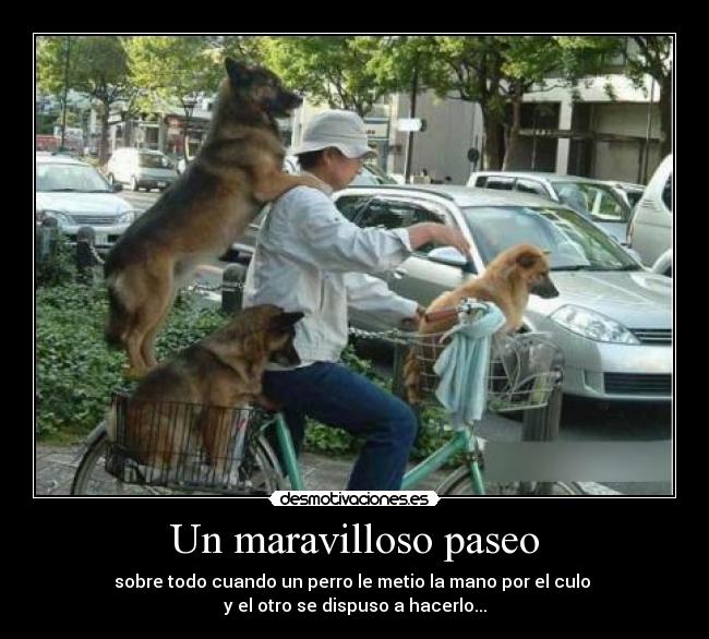 Un maravilloso paseo -