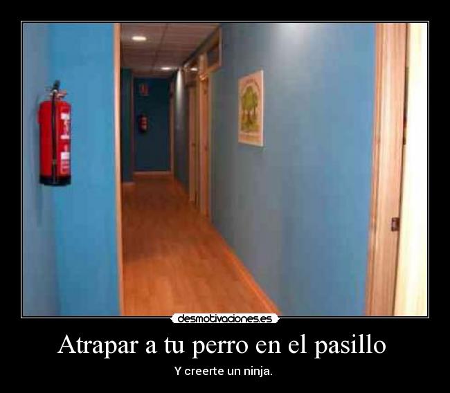 Atrapar a tu perro en el pasillo -