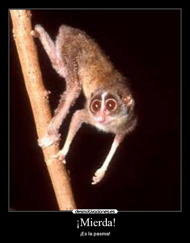 ¡Mierda! -