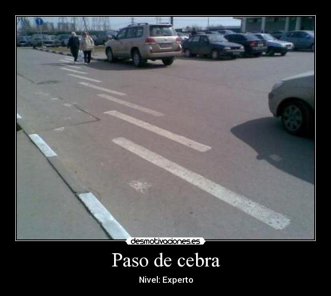 Paso de cebra - Nivel: Experto