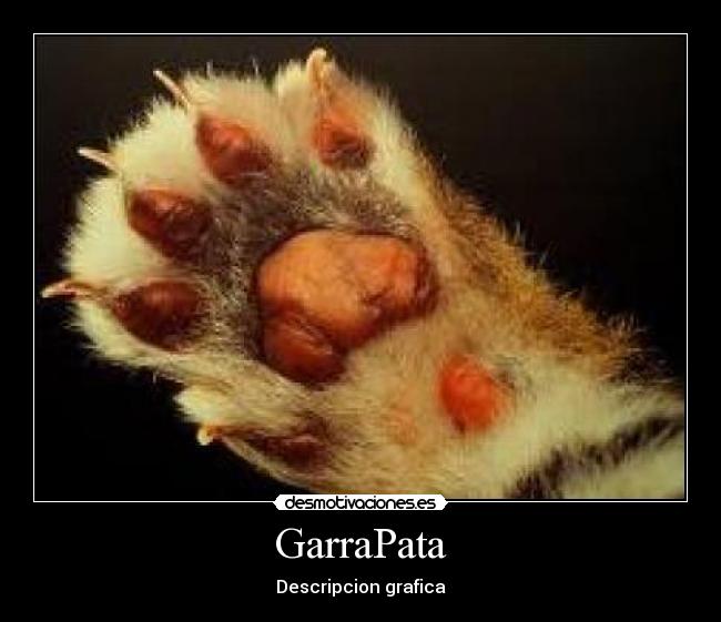 carteles garrapata desmotivaciones