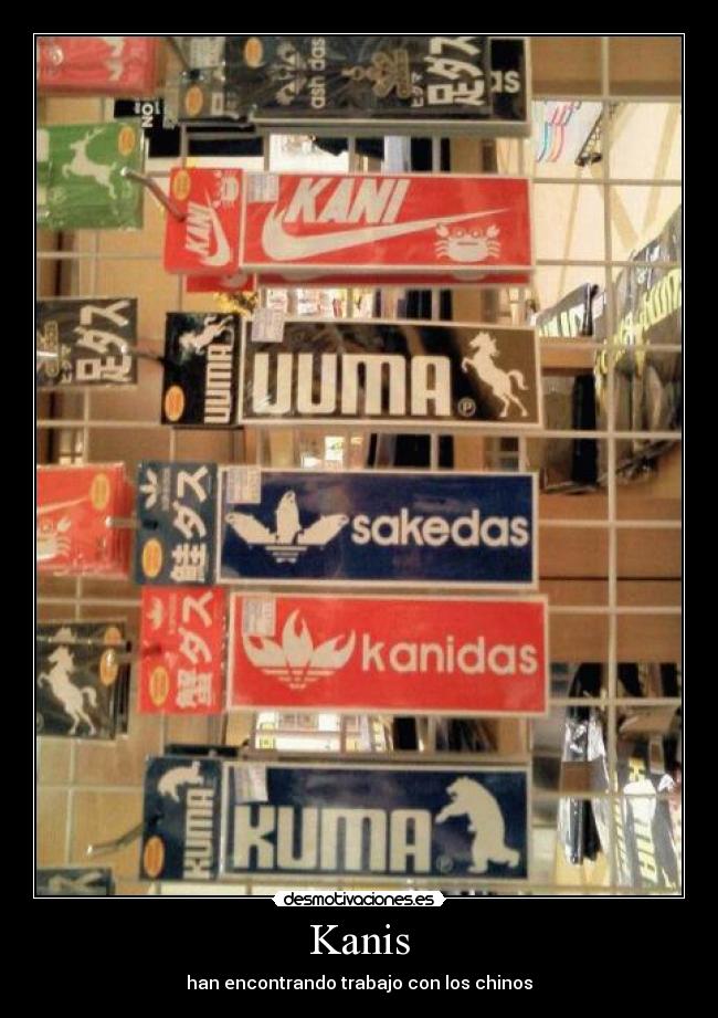 Kanis - han encontrando trabajo con los chinos