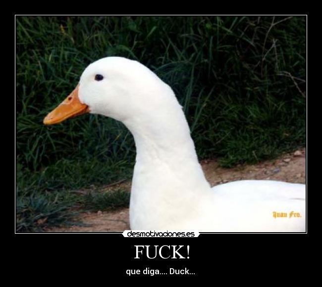 FUCK! - 