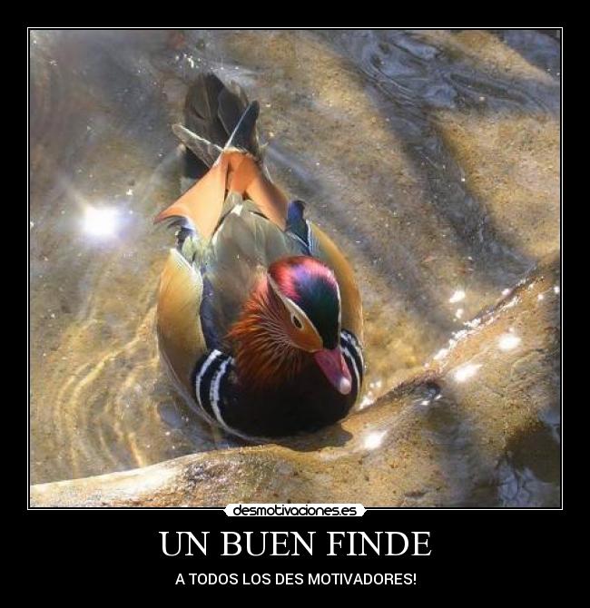 UN BUEN FINDE - A TODOS LOS DES MOTIVADORES!