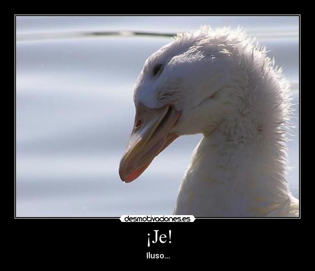 ¡Je! - Iluso...