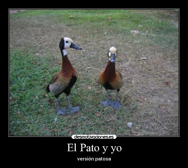 El Pato y yo -