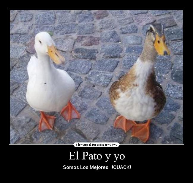 El Pato y yo - Somos Los Mejores   !QUACK!
