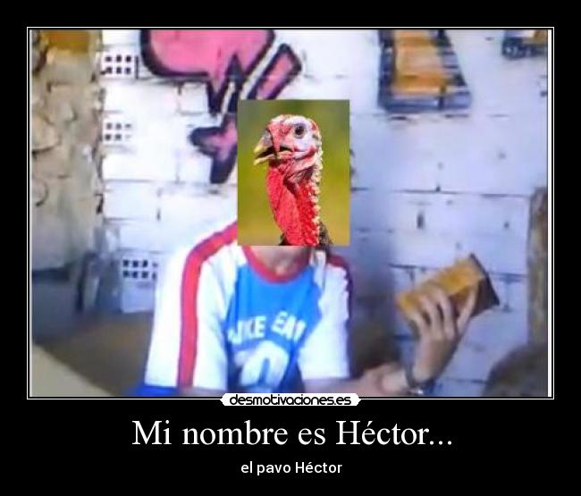 Mi nombre es Héctor... - el pavo Héctor