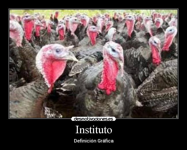 Instituto - 