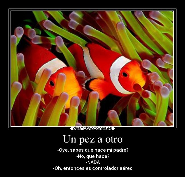 Un pez a otro - -Oye, sabes que hace mi padre?
-No, que hace?
-NADA
-Oh, entonces es controlador aéreo