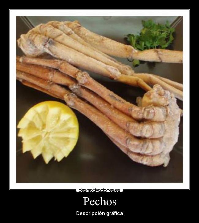 Pechos - Descripción gráfica