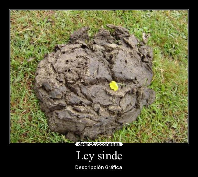 Ley sinde -