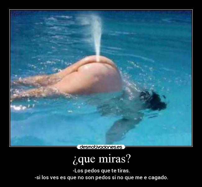 carteles pedos con pegatinas desmotivaciones