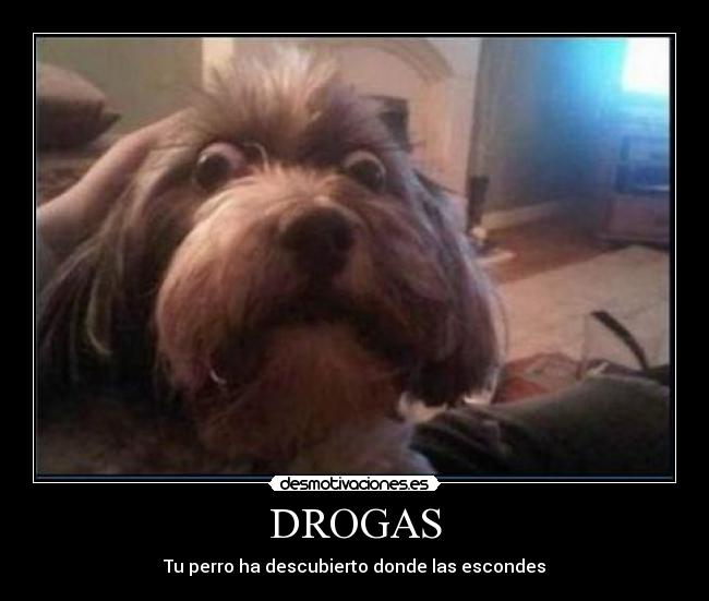 DROGAS - 