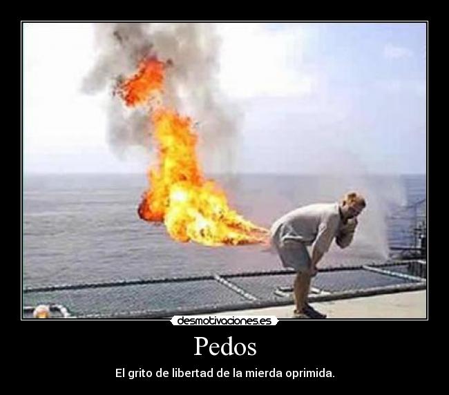 carteles pedos mierda desmotivaciones