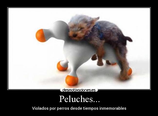 Peluches... - Violados por perros desde tiempos inmemorables