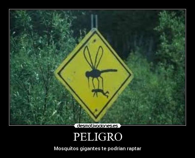 PELIGRO -