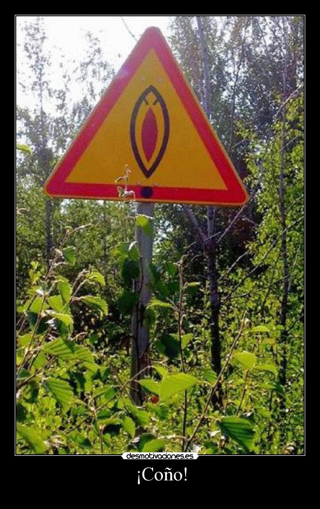 carteles sexo desmotivaciones