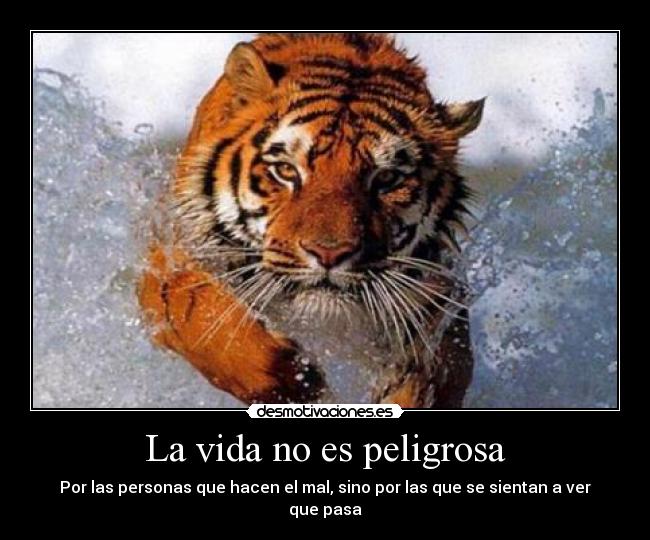 La vida no es peligrosa -