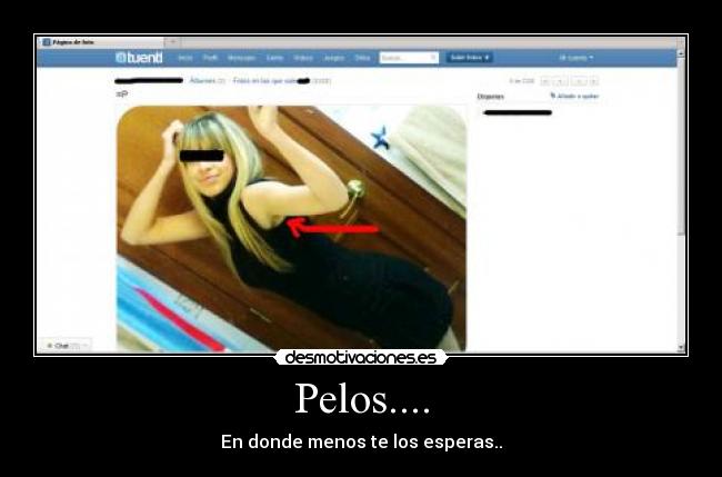 carteles pelos fail mujer peluda tuenti desmotivaciones