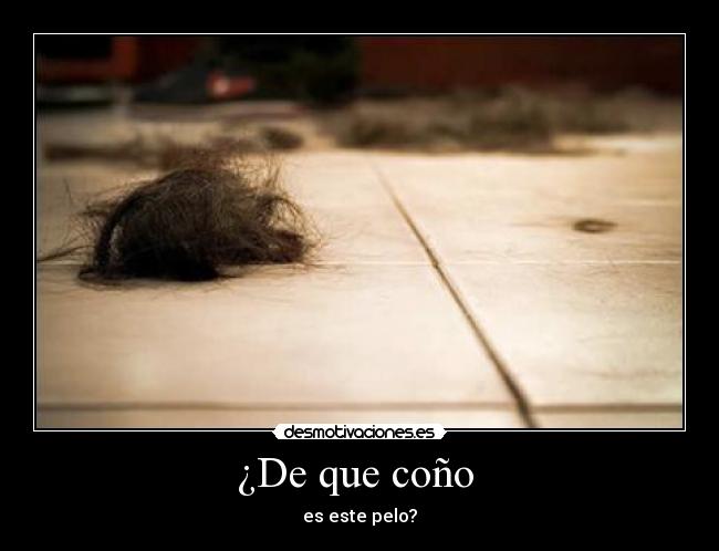 ¿De que coño -