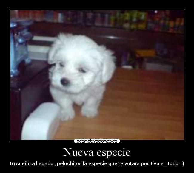 Nueva especie - 