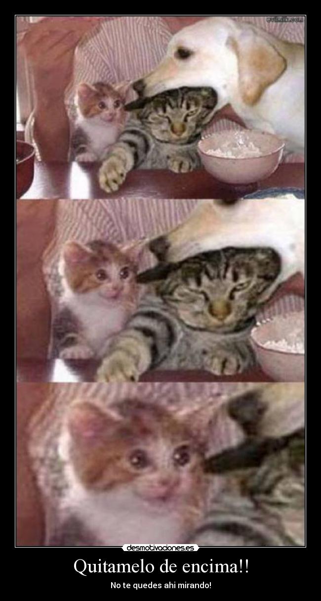 Quitamelo de encima!! - 