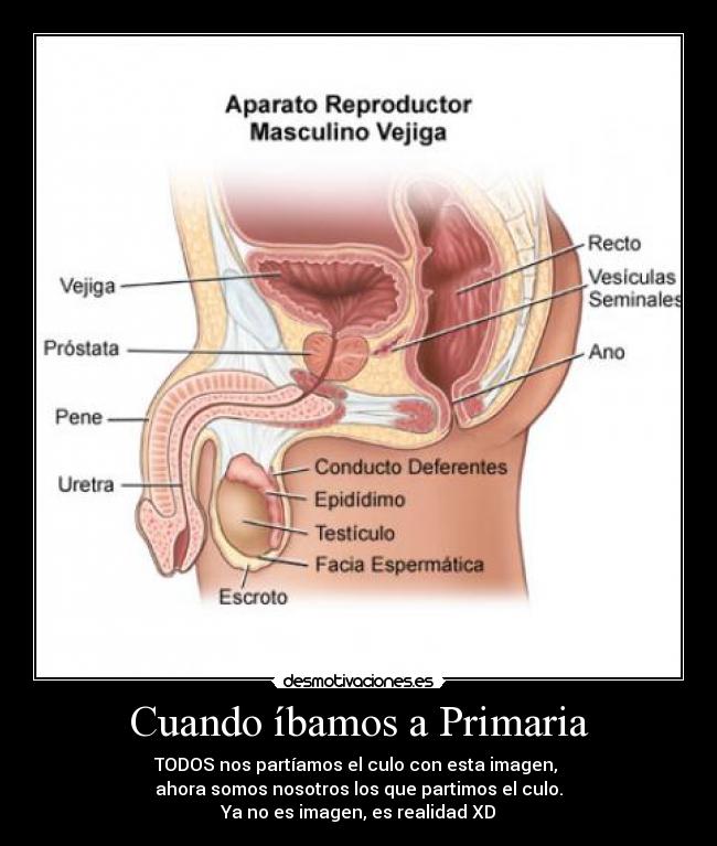 Cuando íbamos a Primaria - TODOS nos partíamos el culo con esta imagen,
ahora somos nosotros los que partimos el culo.
Ya no es imagen, es realidad XD