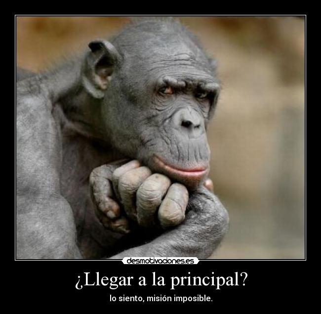 ¿Llegar a la principal? - 