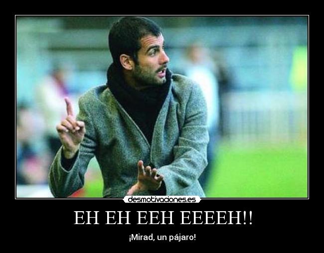 EH EH EEH EEEEH!! - ¡Mirad, un pájaro!