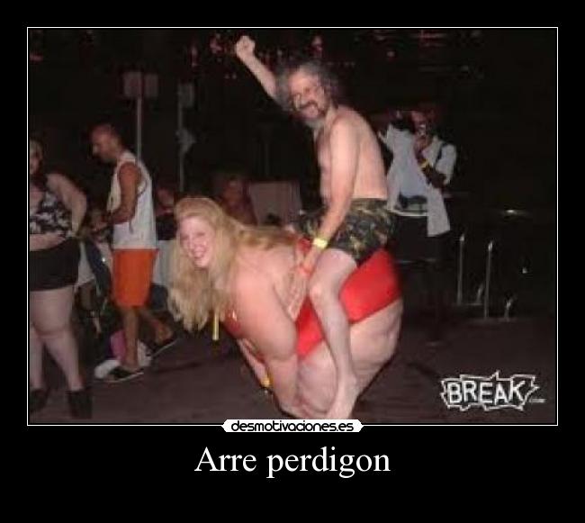 Arre perdigon -