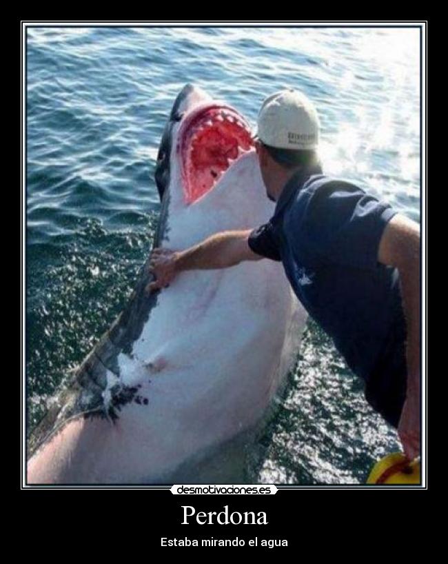 Perdona - Estaba mirando el agua