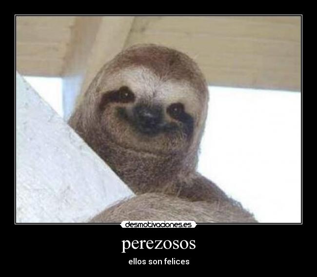 perezosos -