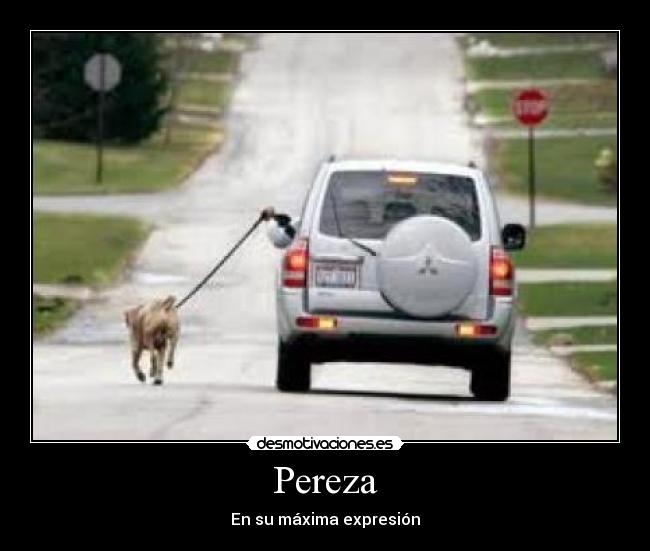 Pereza - En su máxima expresión