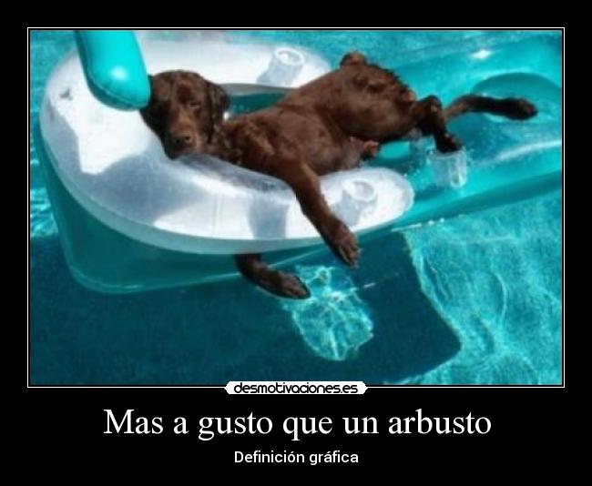 carteles agustito desmotivaciones