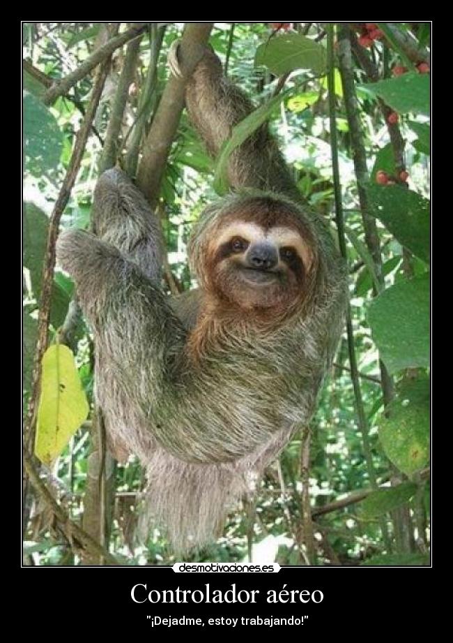 Controlador aéreo -