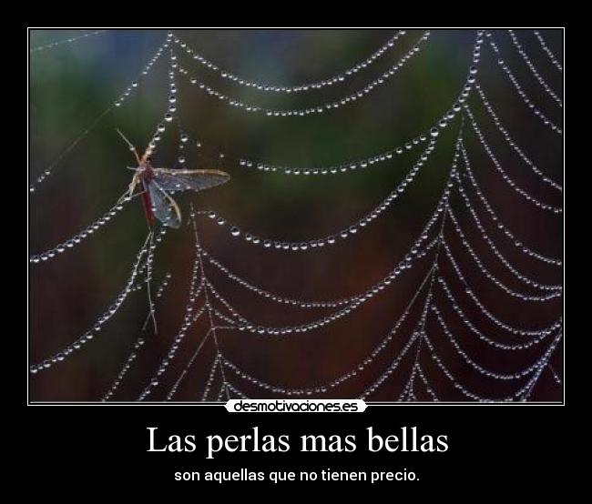 Las perlas mas bellas - son aquellas que no tienen precio.