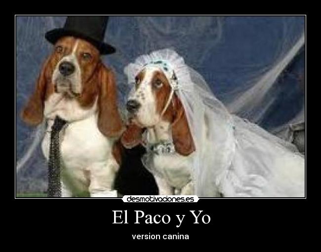 El Paco y Yo - version canina