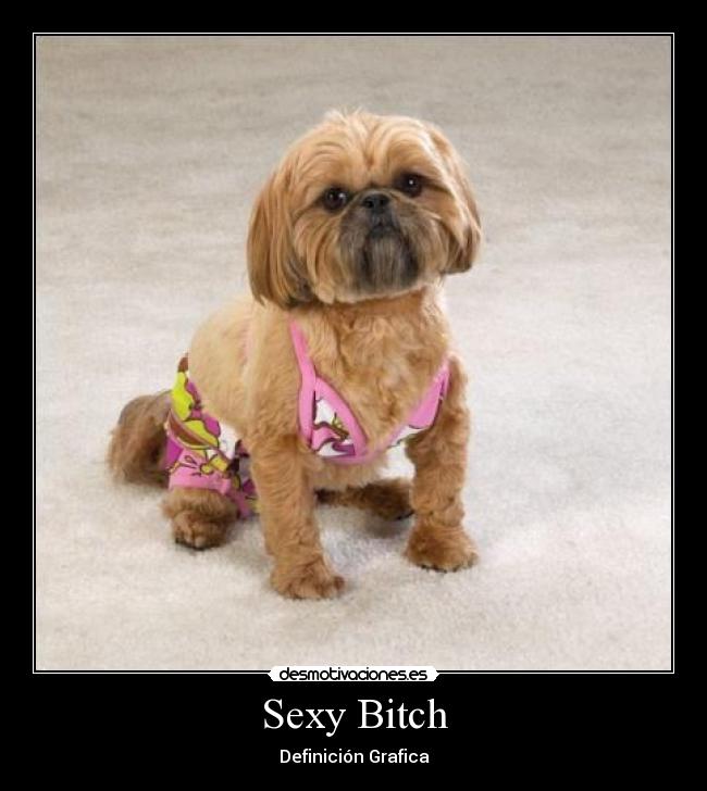 Sexy Bitch - 