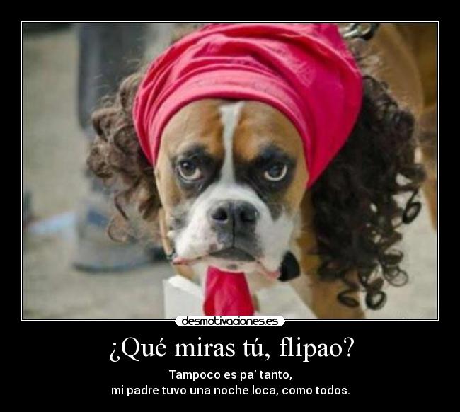 ¿Qué miras tú, flipao? - Tampoco es pa tanto,
mi padre tuvo una noche loca, como todos.