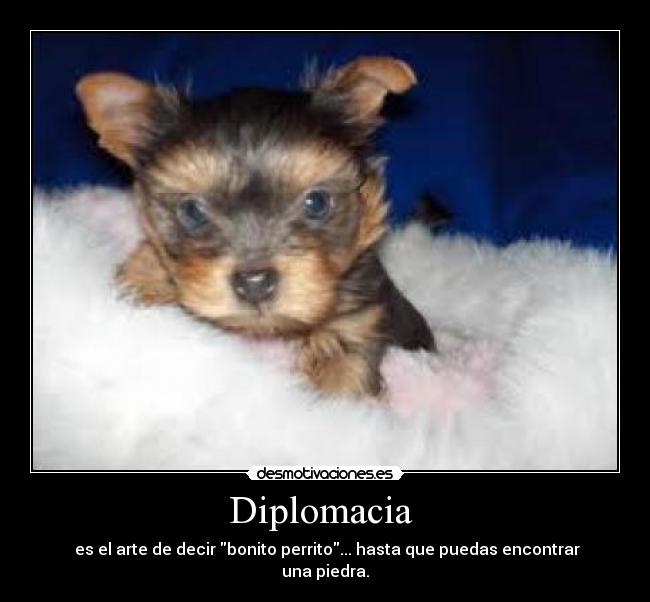 Diplomacia - es el arte de decir bonito perrito... hasta que puedas encontrar una piedra.