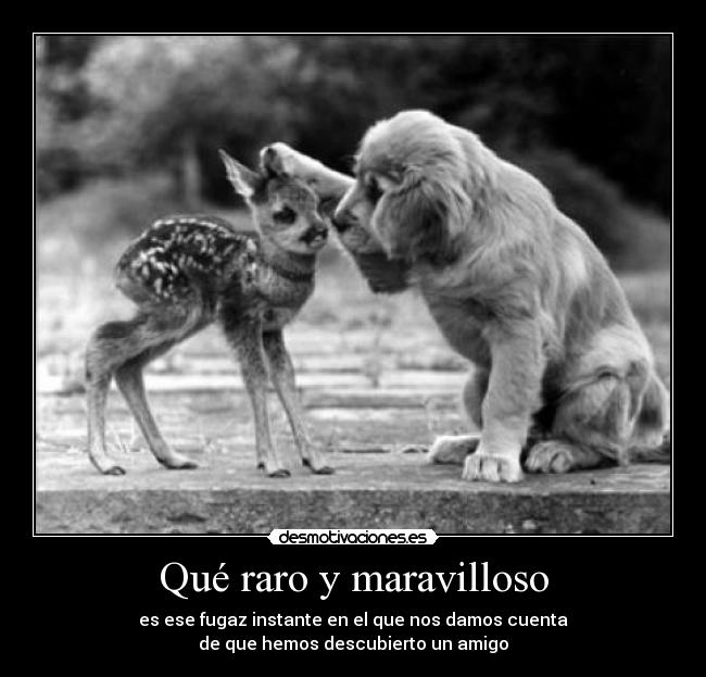 carteles amistad desmotivaciones